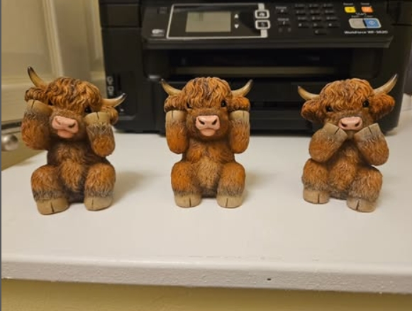 Moo Bookkeeping practice photo 2
