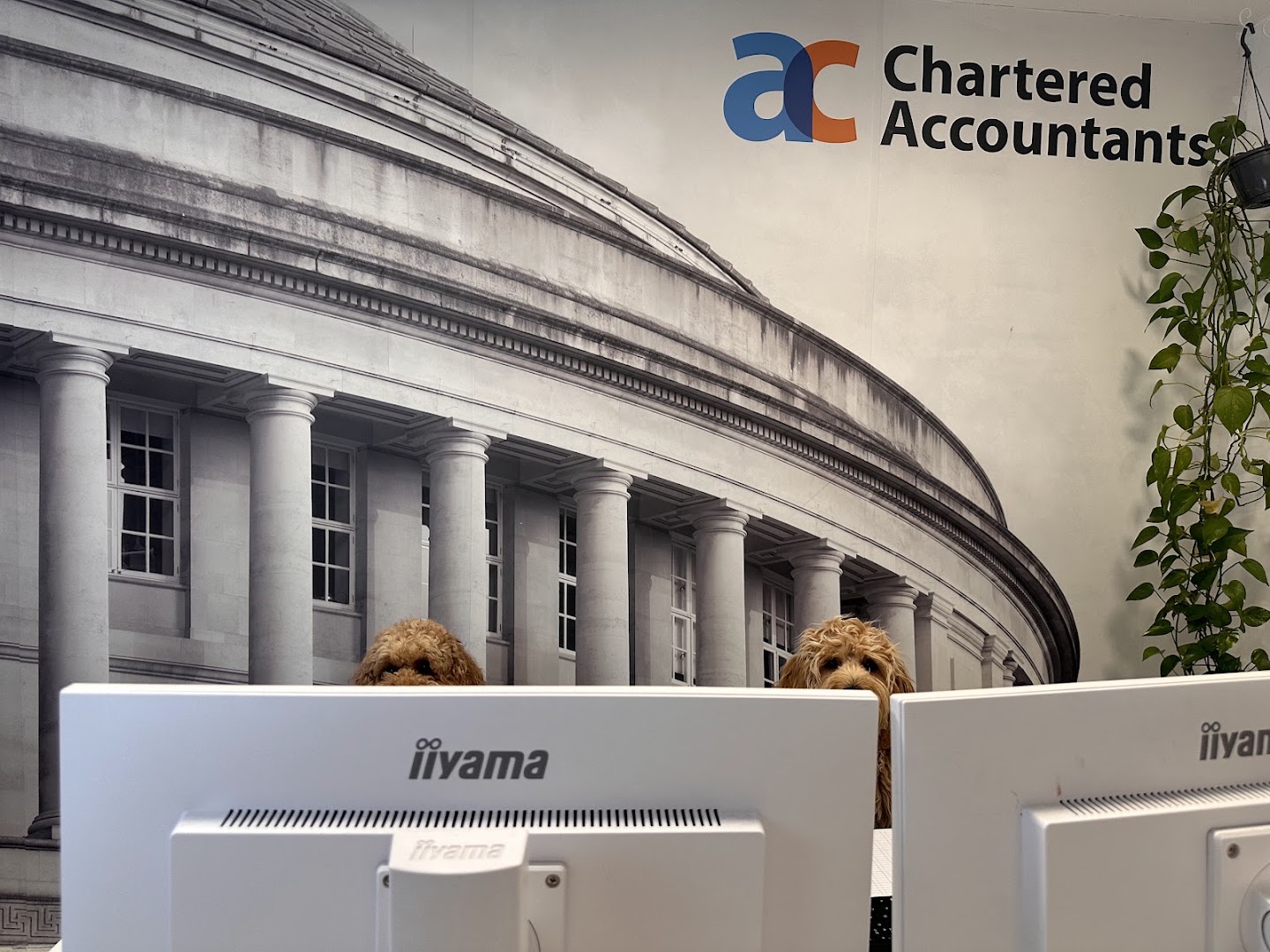 A&C Chartered Accountants practice photo 3