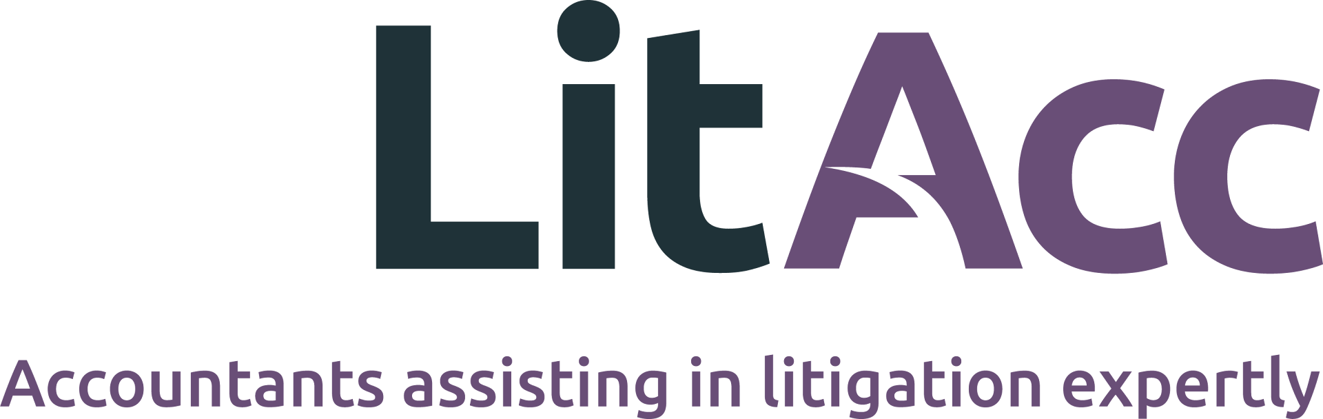 LitAcc practice photo 3