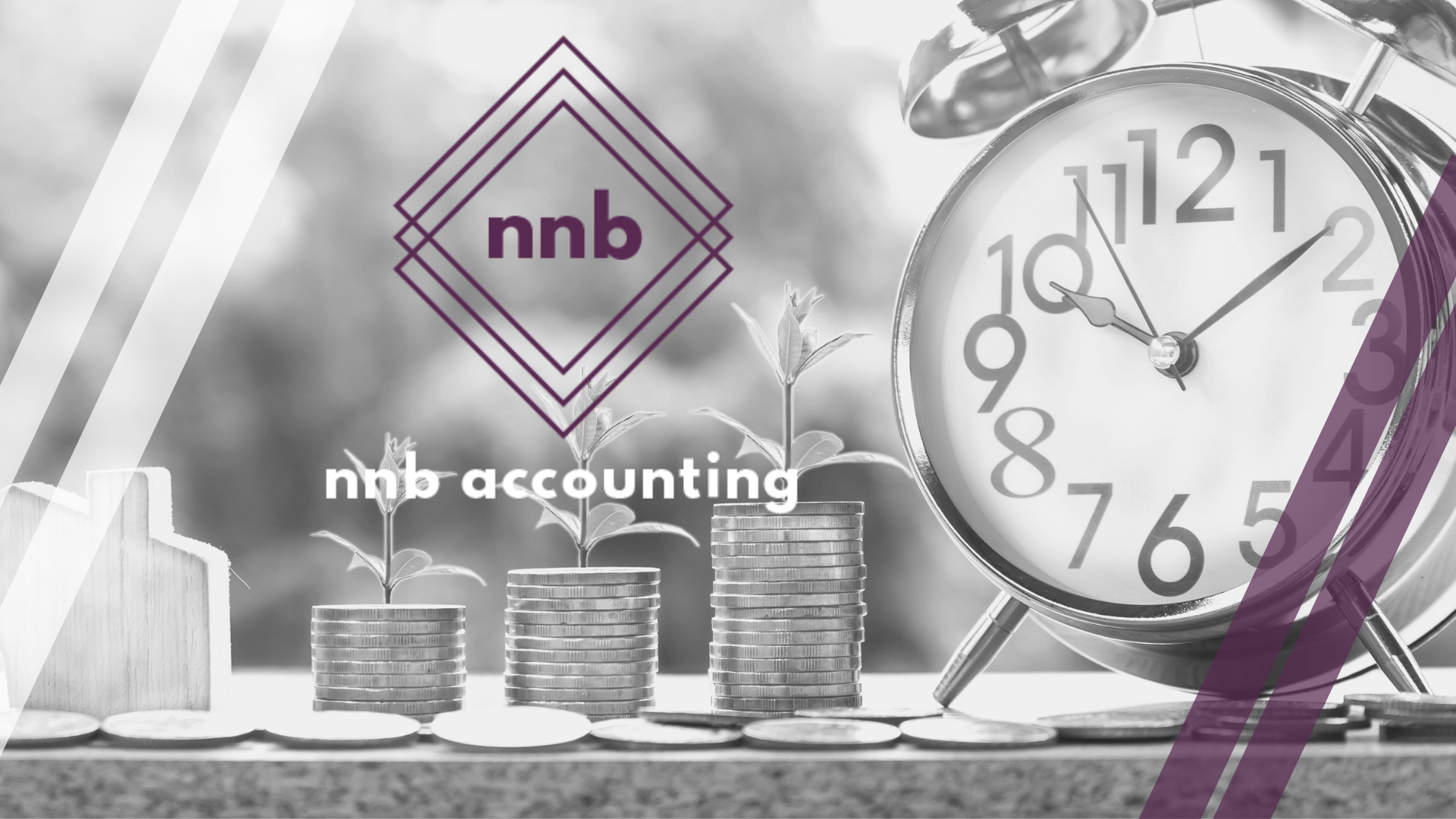 NNB Accounting LLP practice photo 2