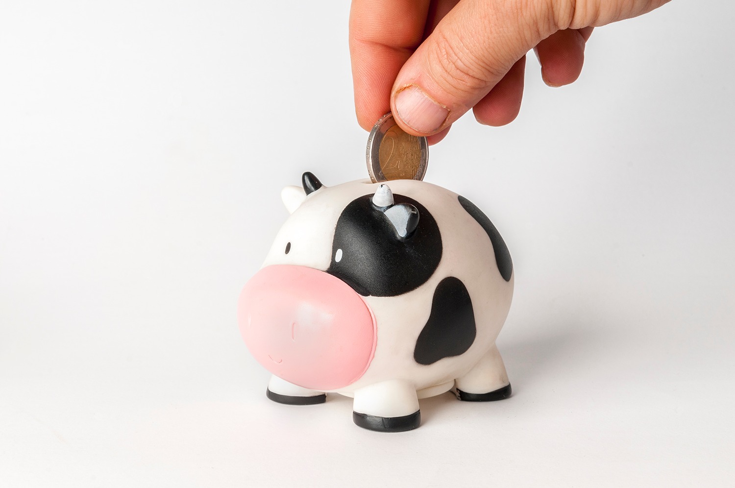 Moo Bookkeeping practice photo 5